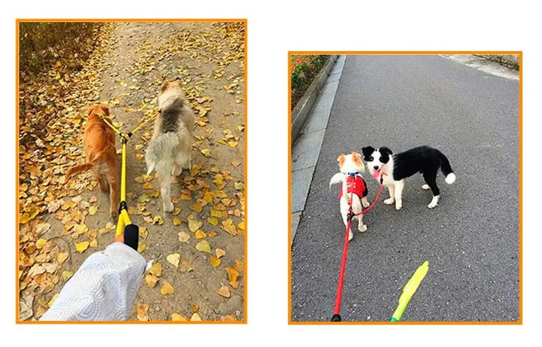 Double Leash with Detachable Dog Chains
