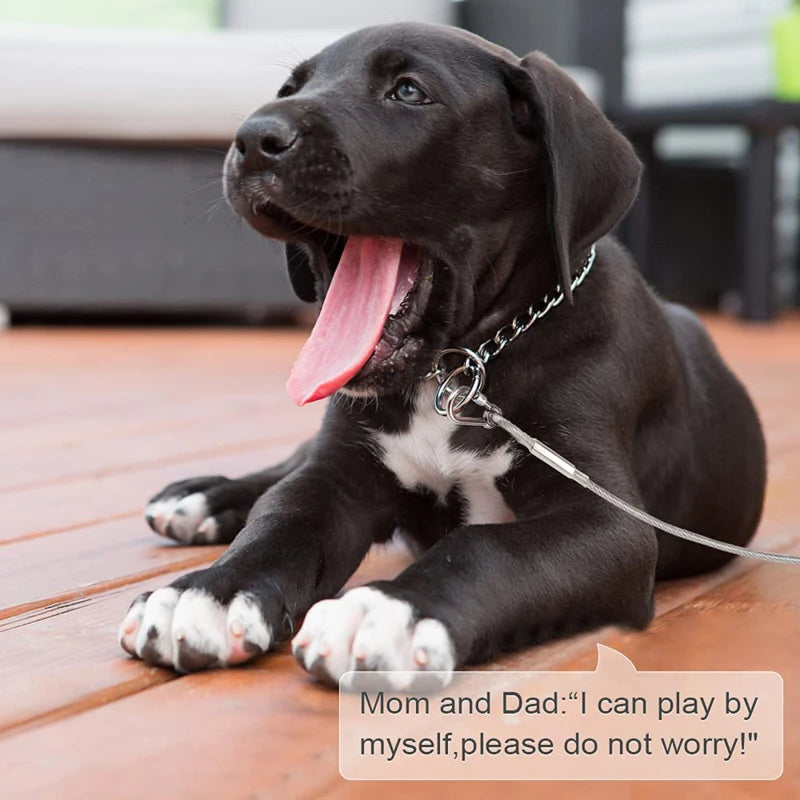 Heavy-Duty Double-Headed Dog Tie-Out Cable Leash – Stainless Steel, Multiple Lengths (6.6 ft to 49 ft)
