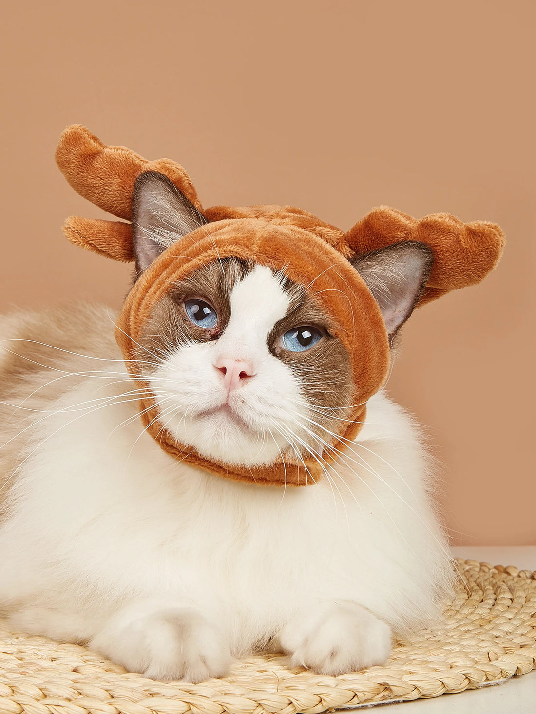 Pet Cosplay Party Costume – Shark & Elk Headdress | Warm Winter Hat for Cats & Dogs | Funny Dress-Up Outfit for Small Pets