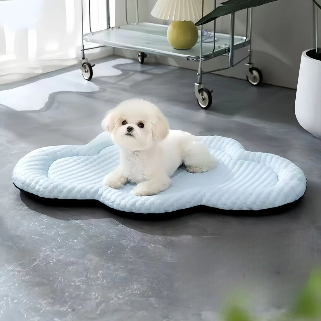 Pet Dog Cooling Pad – Waterproof, Machine Washable Summer Mat for Medium Dogs (Indoor & Outdoor Use)Pet Dog Cooling Pad – Waterproof, Machine Washable Summer Mat for Medium Dogs (Indoor & Outdoor Use)