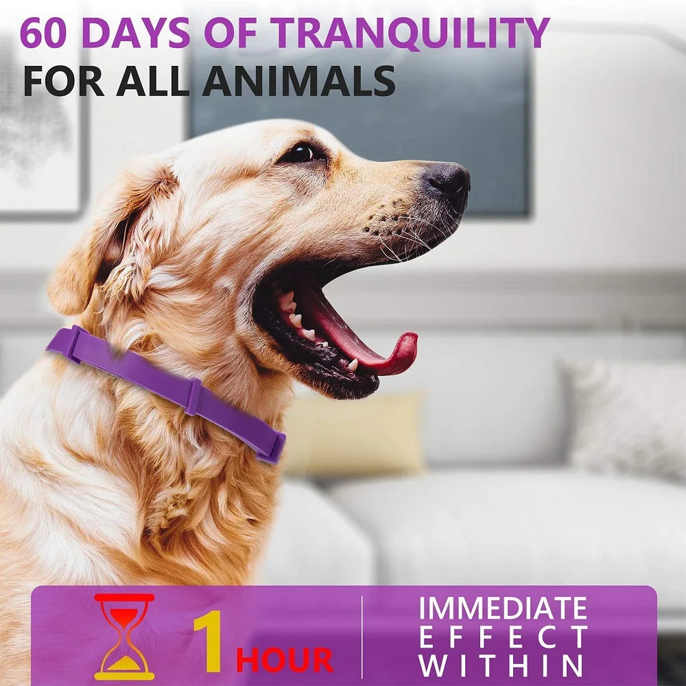 Pet Calm Collar – Adjustable, Waterproof Calming Collar for Dogs & Cats with Lavender & Chamomile (Lasts Up to 60 Days