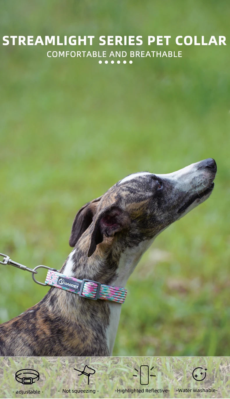 Durable Dog Collar