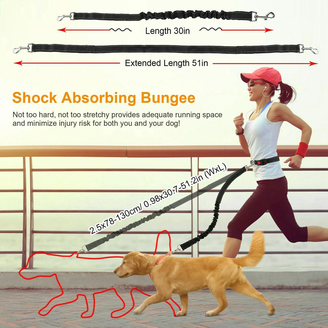 Hands-Free Dog Leash with Adjustable Waist Belt – Nylon Running & Walking Leash Set