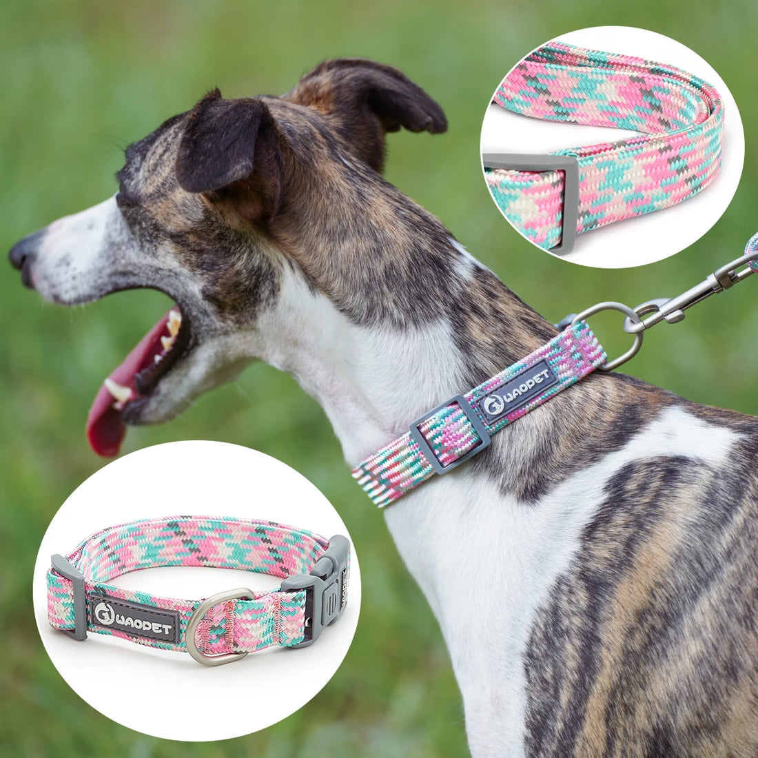 Durable Dog Collar