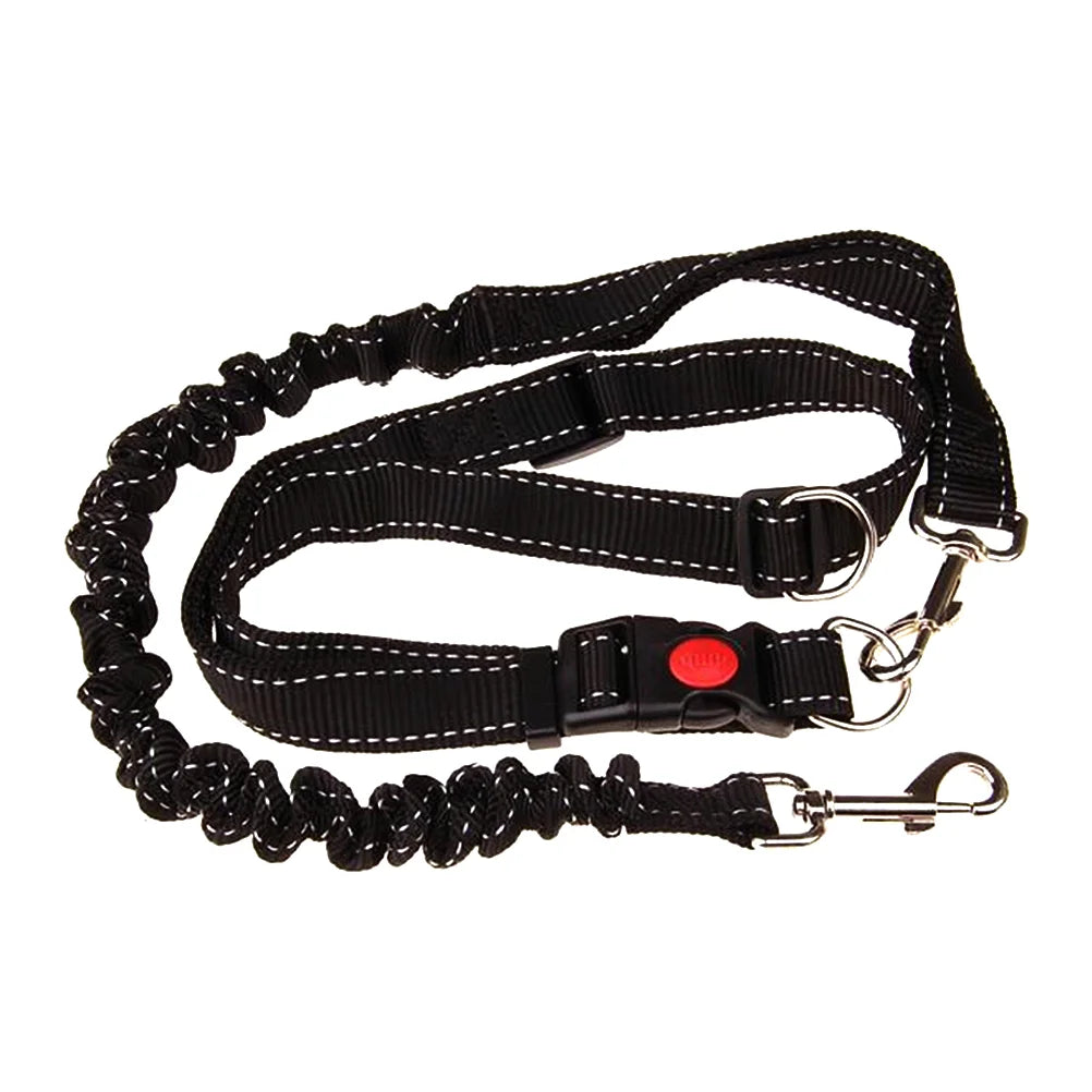 Hands-Free Dog Leash with Adjustable Waist Belt – Nylon Running & Walking Leash Set