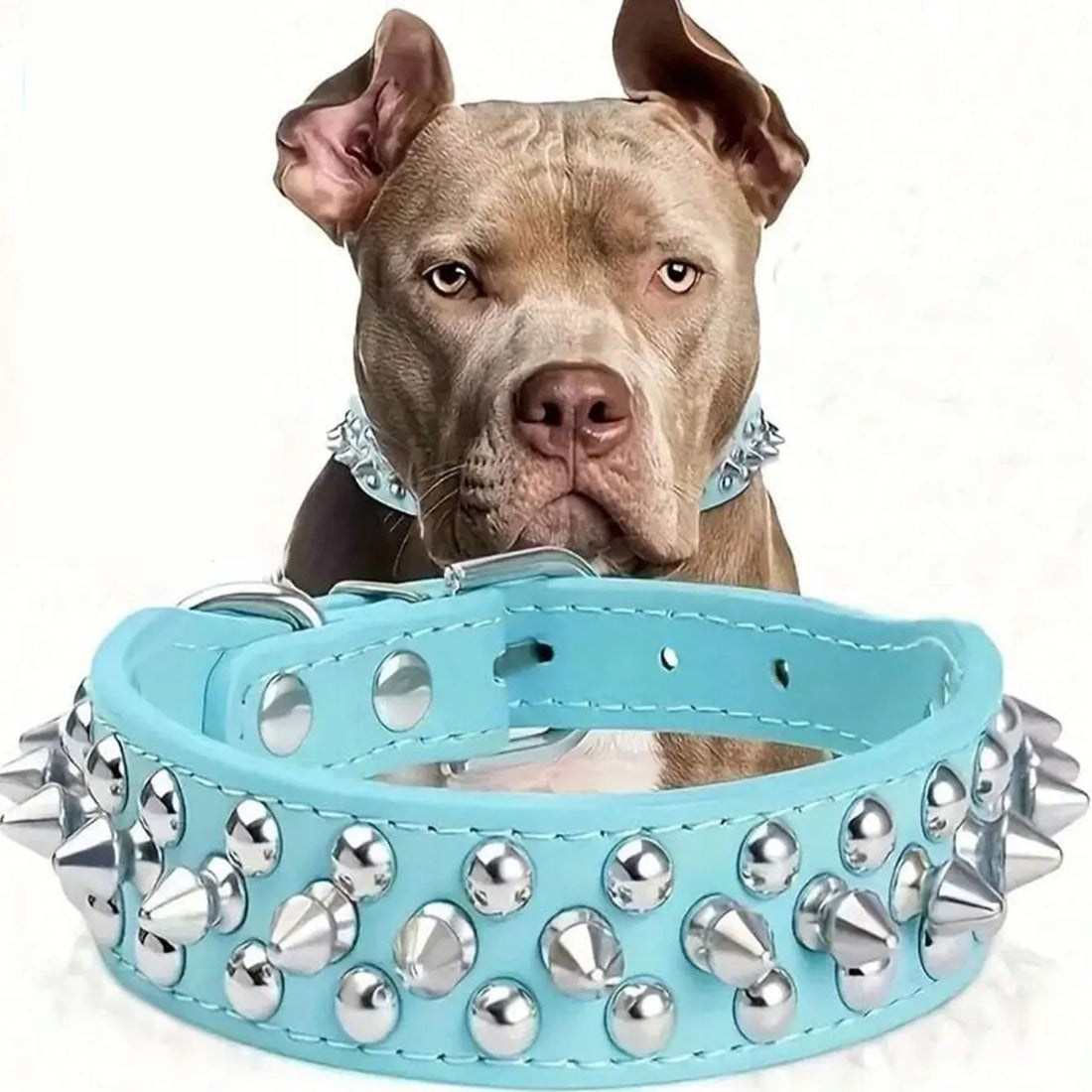 Dog Adjustable Rivet Collar