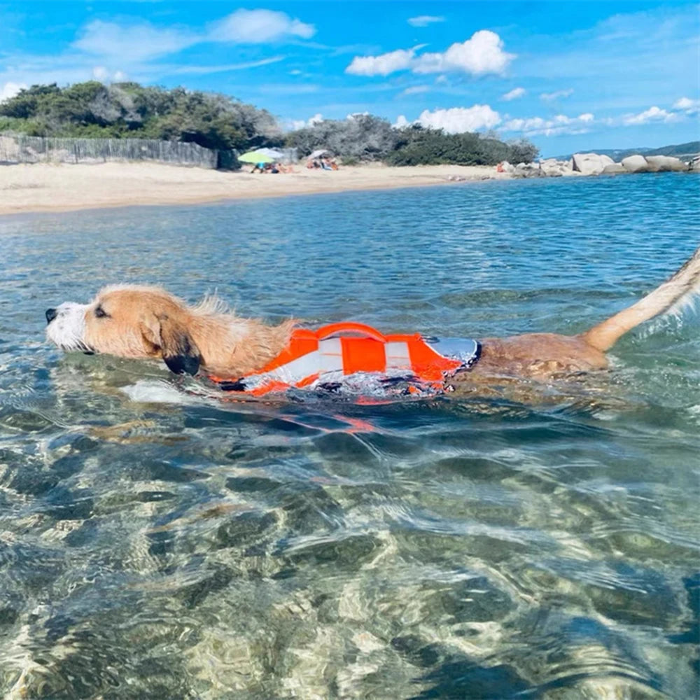 XLeiPet Reflective Dog Life Jacket – Spring/Summer Swim Vest
