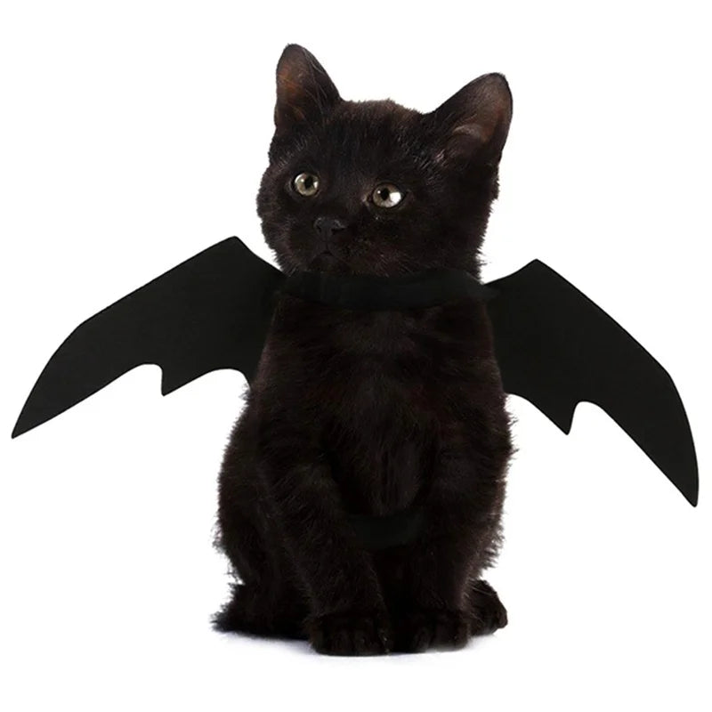 Halloween Bat Wings Costume for Cats & Dogs – Black Felt Harness Outfit | Pet Cosplay Party Clothes