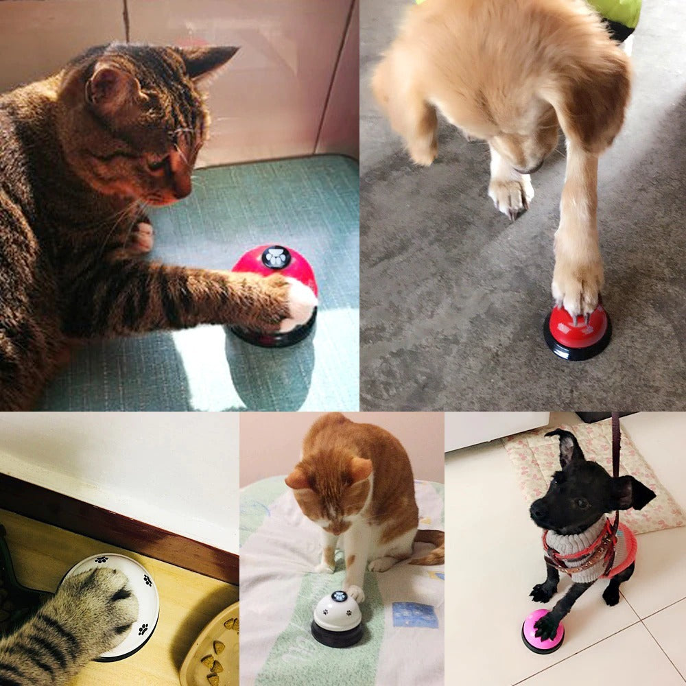 Interactive Pet Training Bell – Dog & Cat Feeding Reminder Toy for IQ & Behavior Training