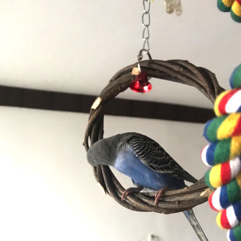 Bird Standing Ring Chewing Toy – Apple Branch Rattan Perch Ring for Small & Medium Birds (6" or 8" Diameter)