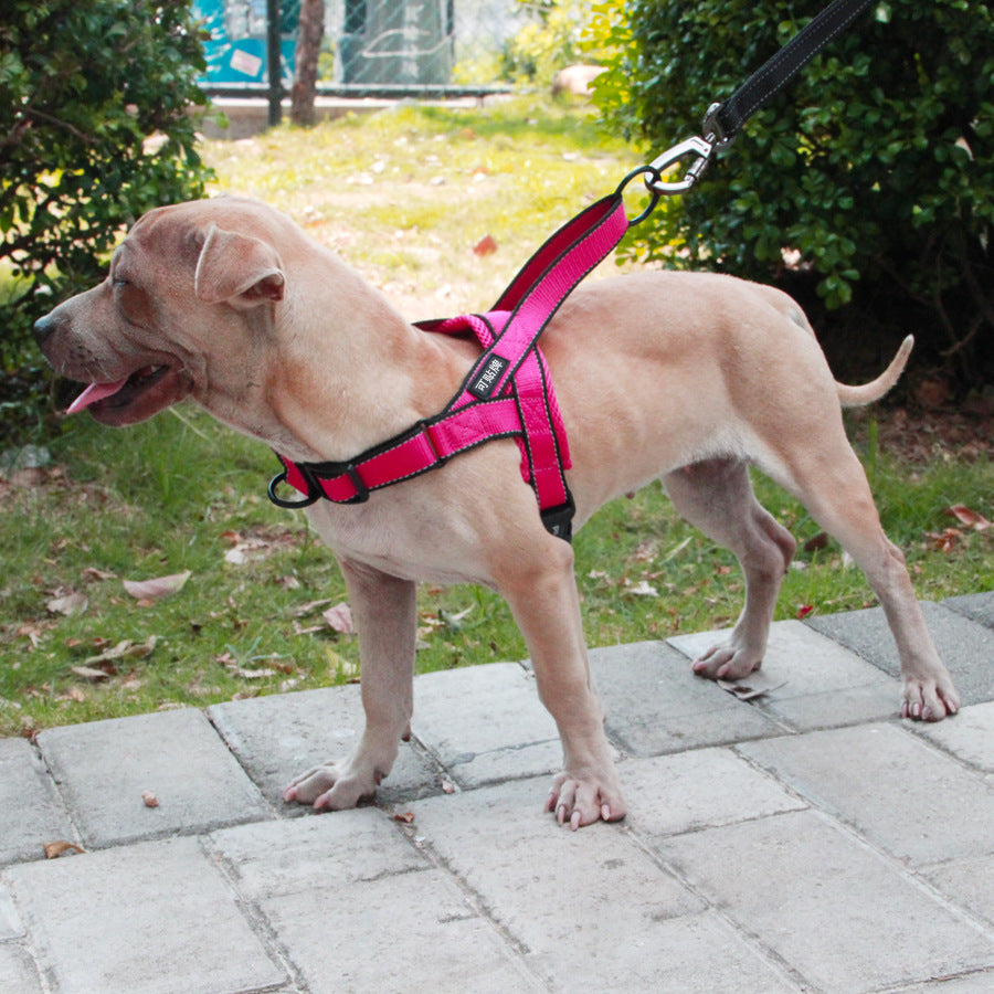 Adjustable Dog Harness with Leash