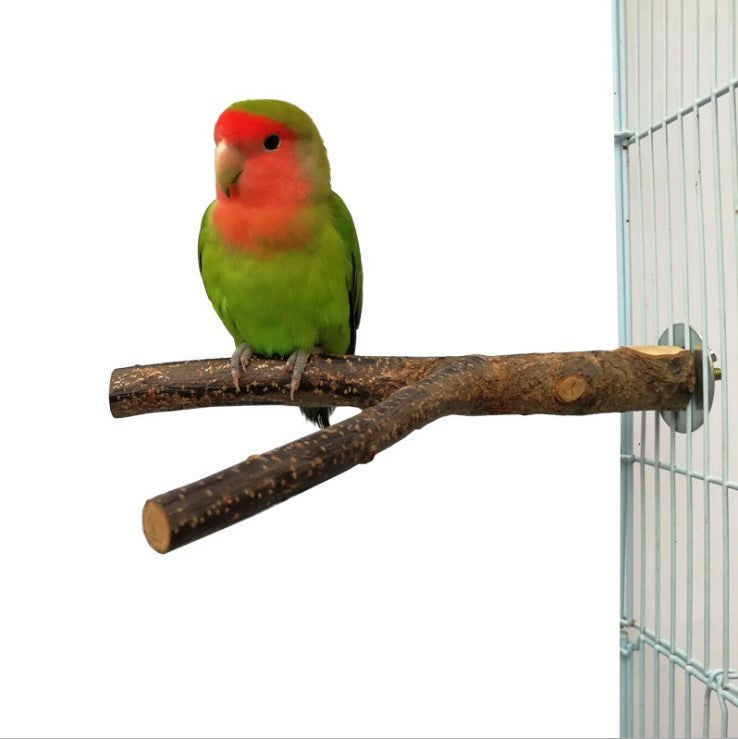 Bird Standing Ring Chewing Toy – Apple Branch Rattan Perch Ring for Small & Medium Birds (6" or 8" Diameter)