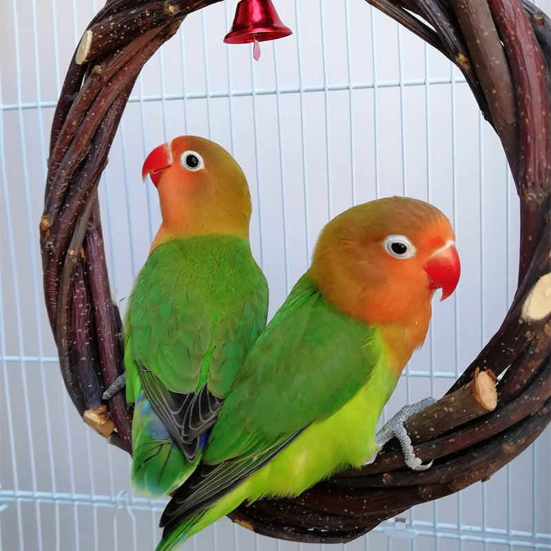 Bird Standing Ring Chewing Toy – Apple Branch Rattan Perch Ring for Small & Medium Birds (6" or 8" Diameter)