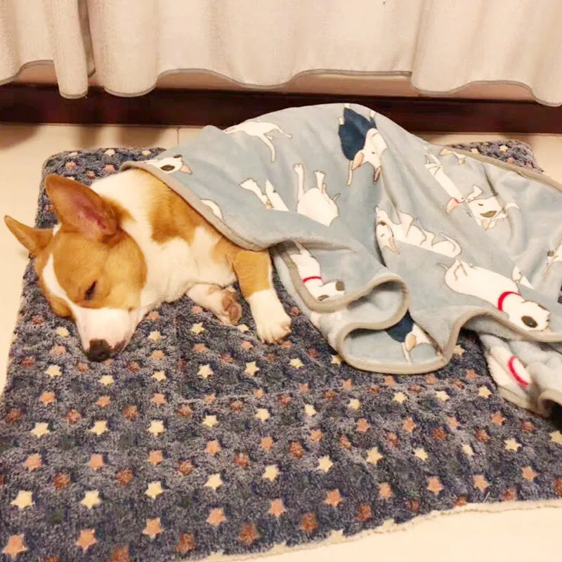 Ultra Soft Coral Velvet Pet Blanket – Non-Slip, Washable Throw for Dogs & Cats (Machine Washable)