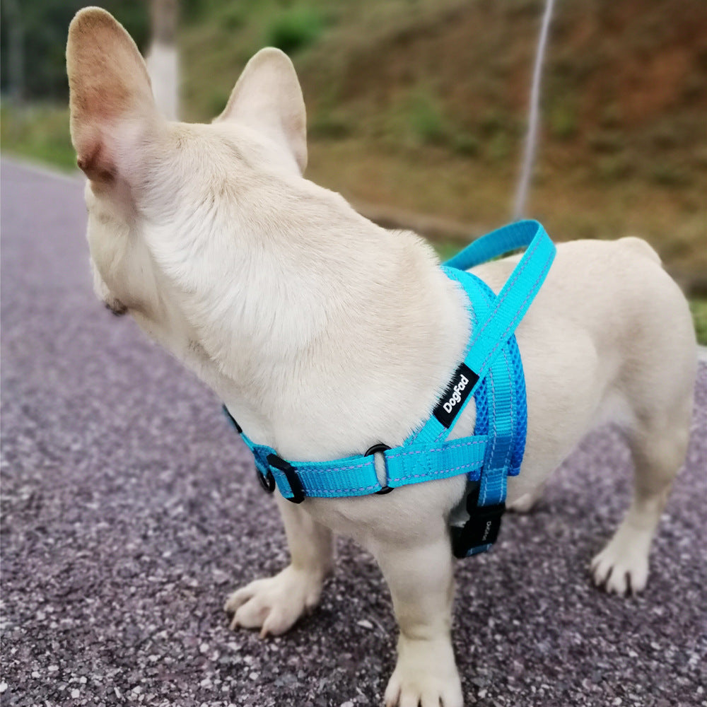 Adjustable Dog Harness with Leash